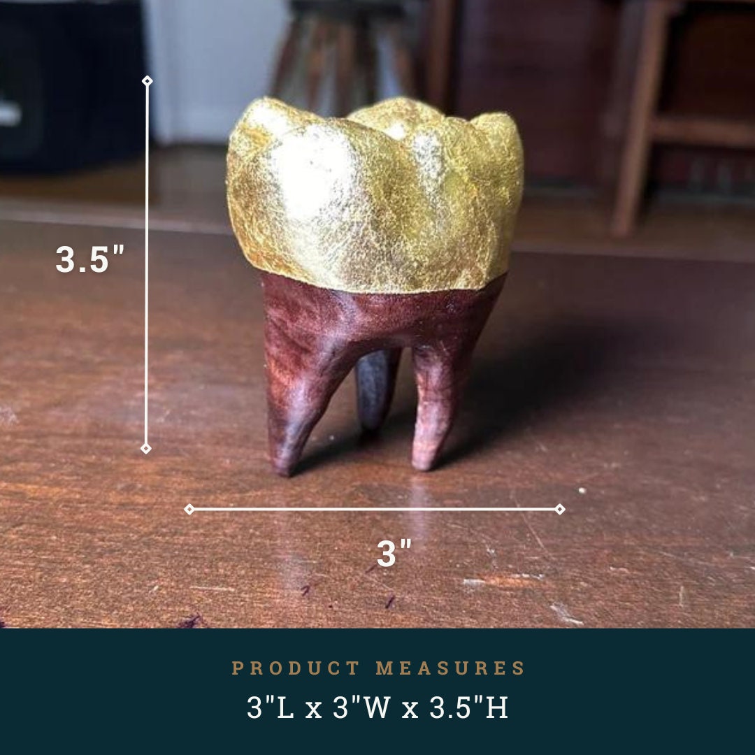 Small decorative tooth with gold cap on a wooden surface, with measurements indicated.